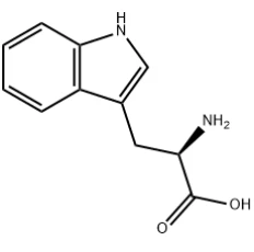 D-Tryptófan CAS#153-94-6